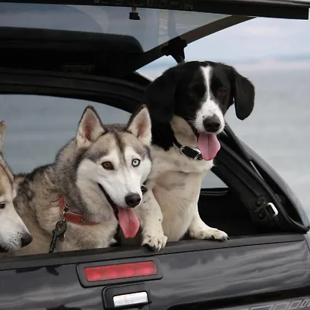 Tatil Evi Portbeg Homes At Donegal Bay Bundoran