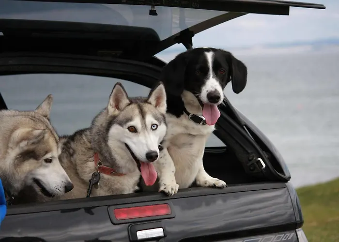 Σπίτι διακοπών Portbeg Homes At Donegal Bay Bundoran